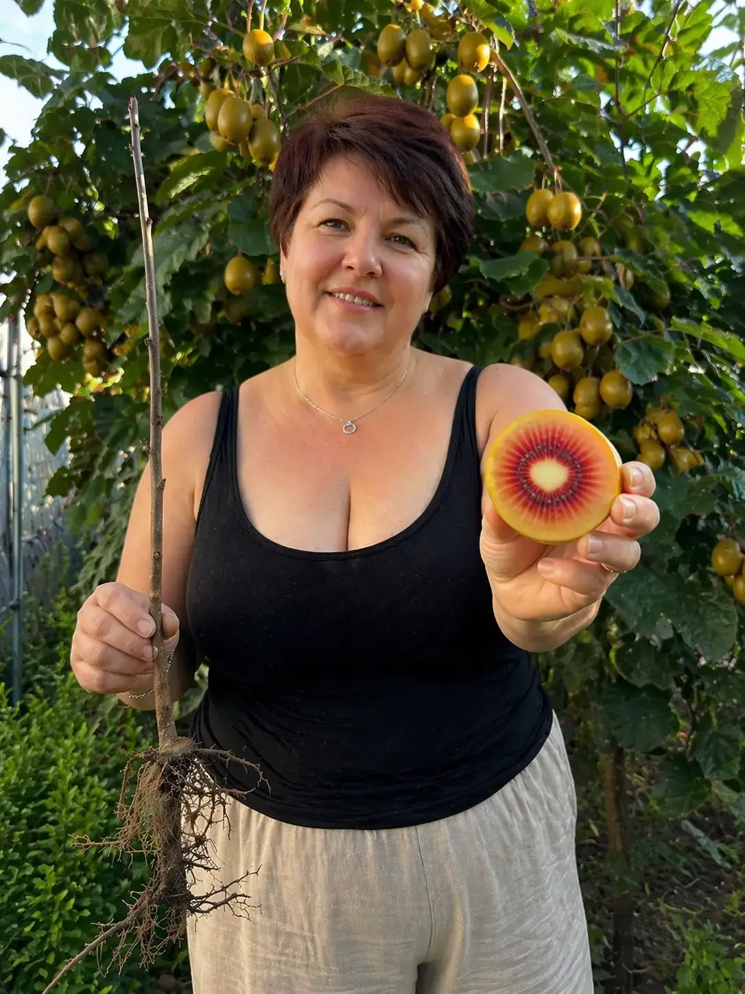 Розріз плоду ківі Золотий Рубін — жовта шкірка і рубінова серединка